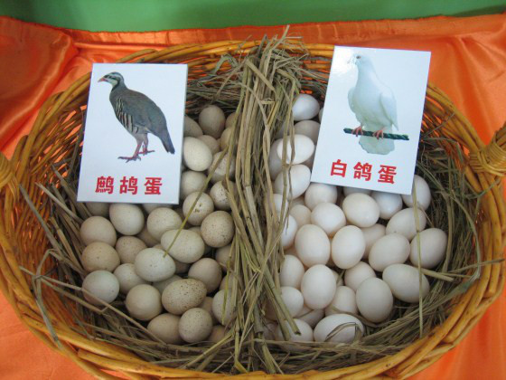 鹧鸪蛋