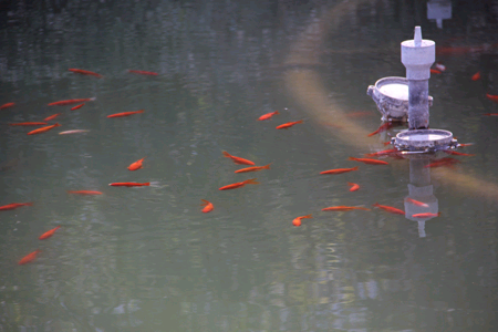 北京电影学院职教院-教学楼