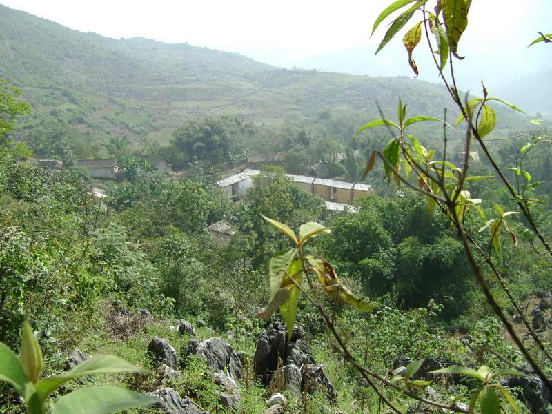  p>五祖坡村隶属于云南省文山州丘北县官寨乡秧补行政村,属于山区.