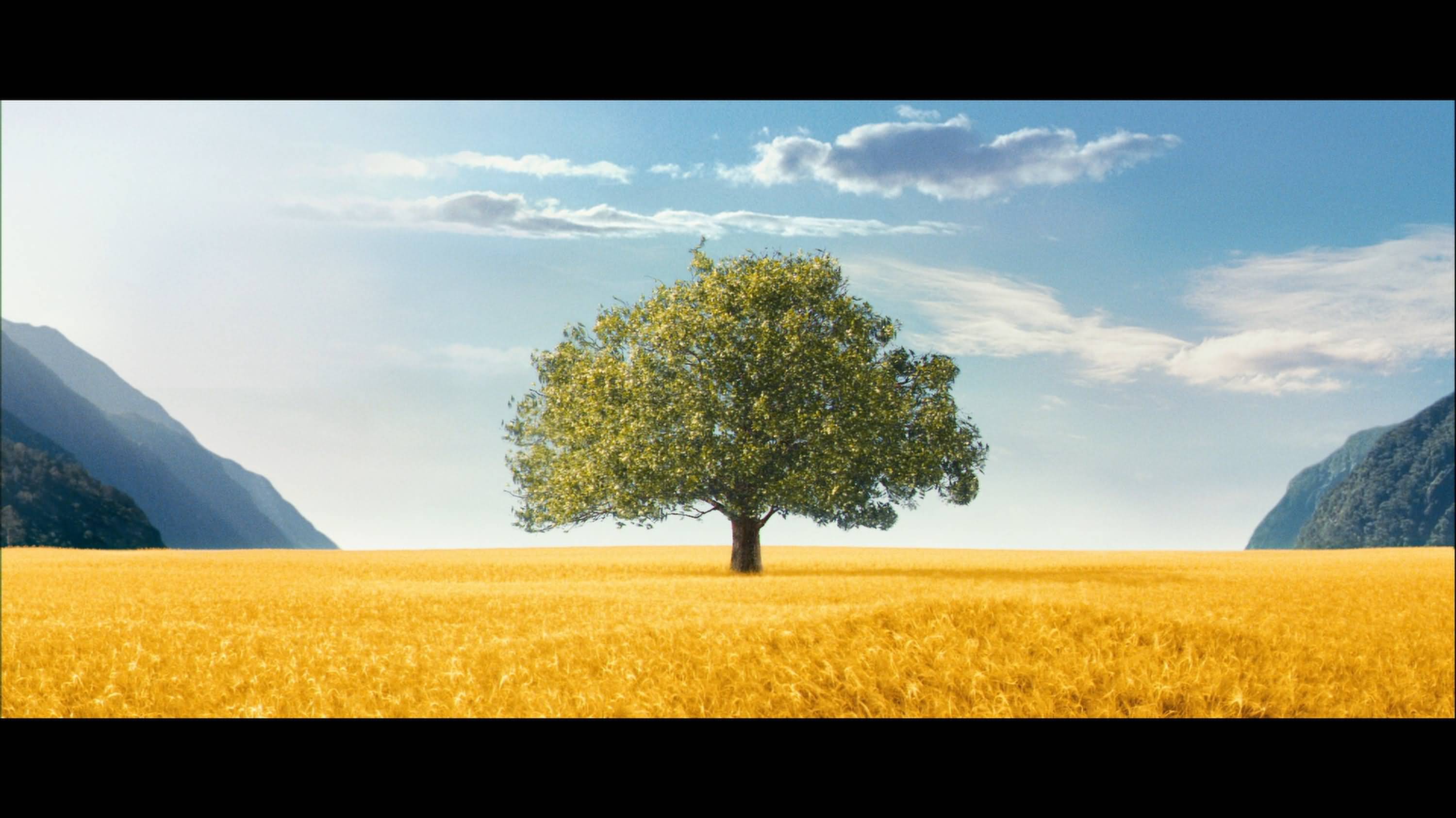  p>《可爱的骨头》是由 a target="_blank" href="/item/彼得·杰克逊