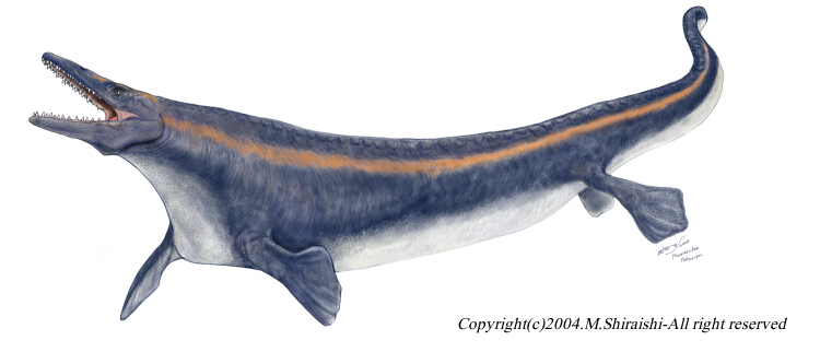  p>板果龙属(platecarpus)看似是完全适应浅海环境