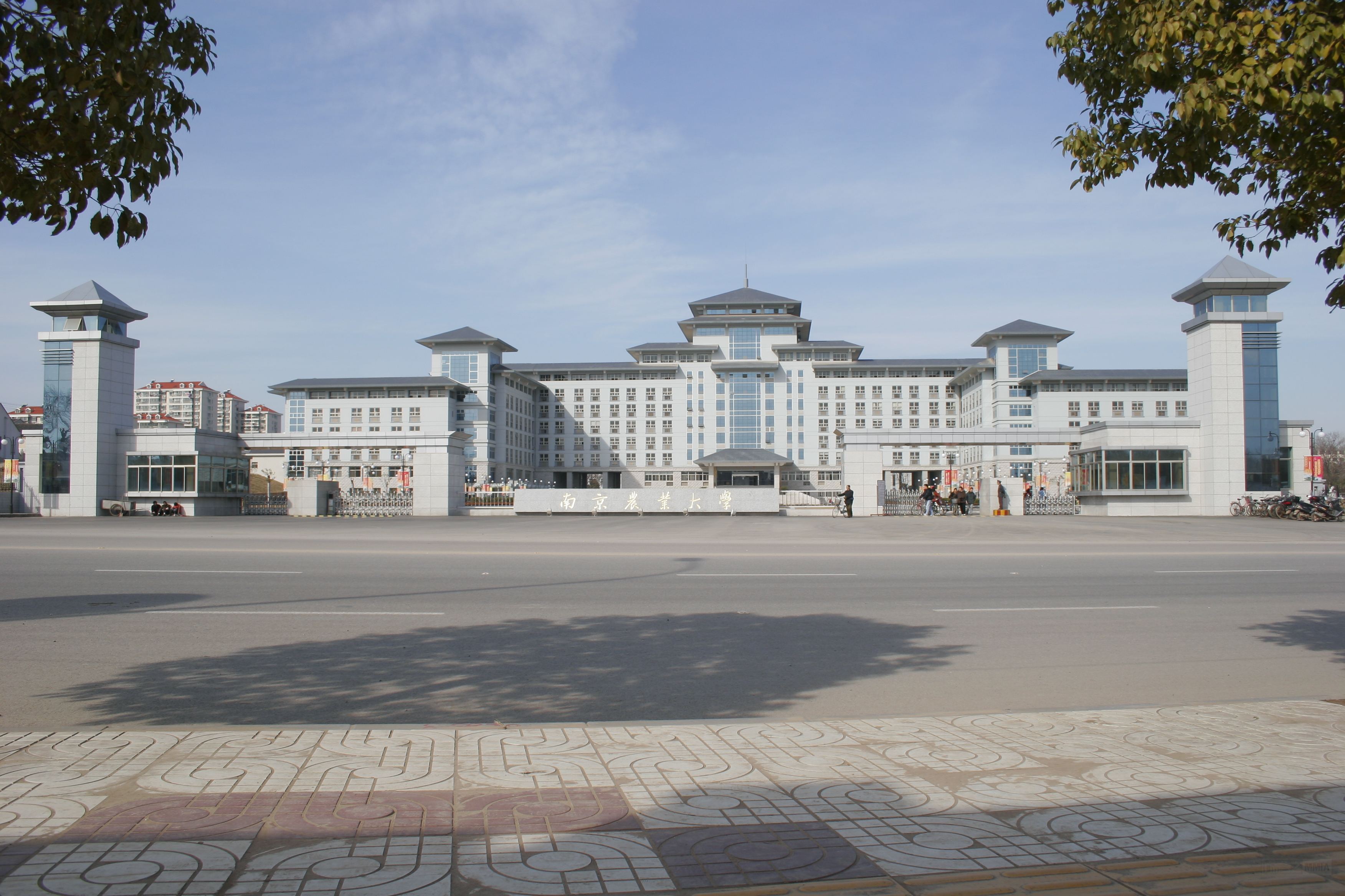  p>南京农业大学(nanjing  agricultural  university)坐落于 a