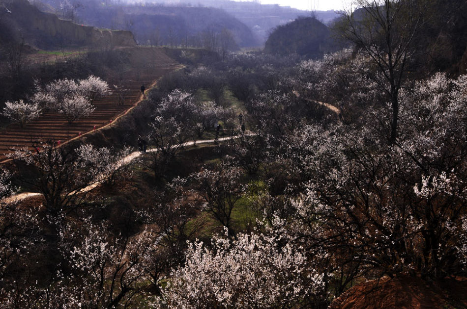 洛阳樱桃沟景区