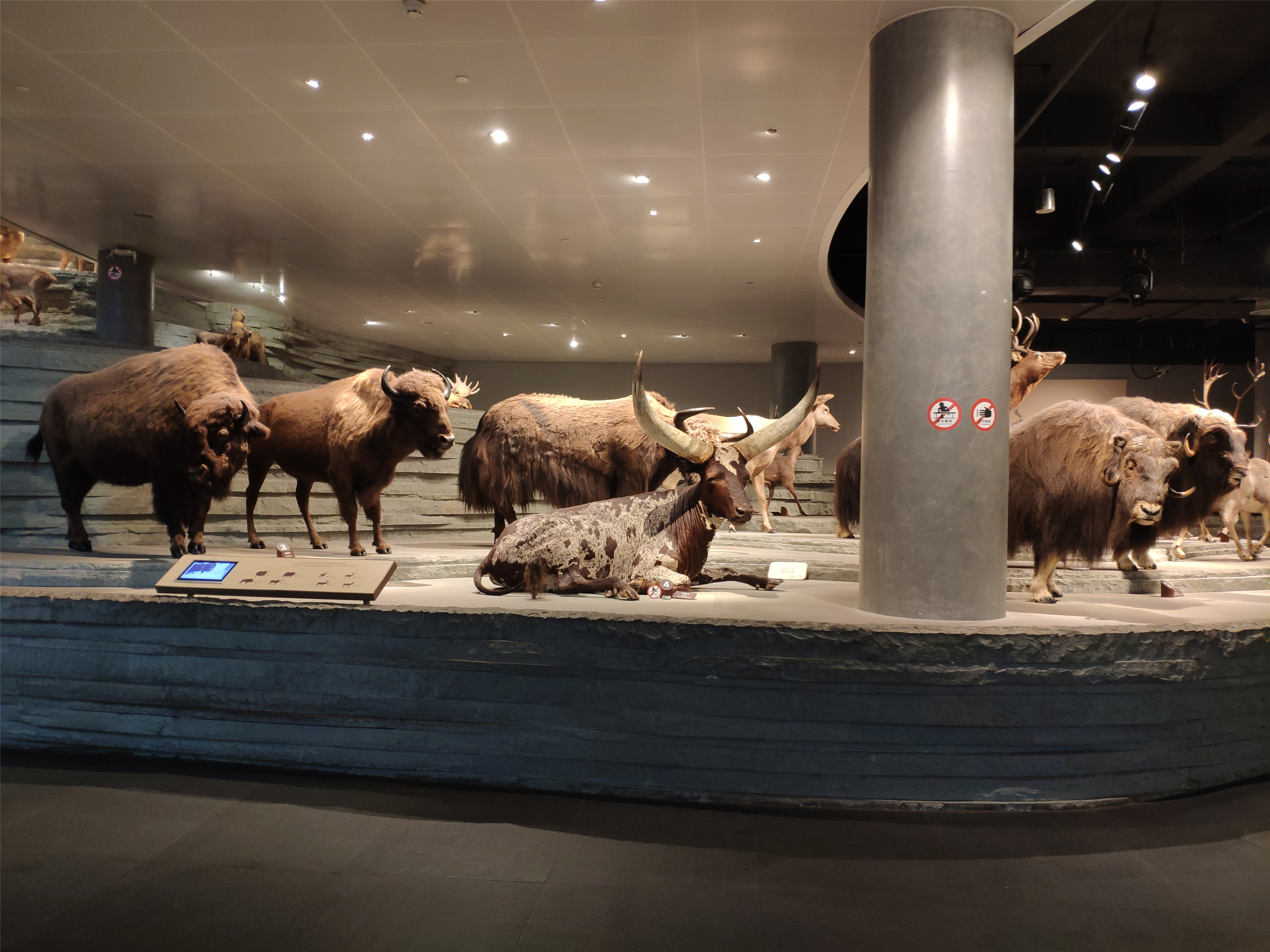 自然博物馆上海