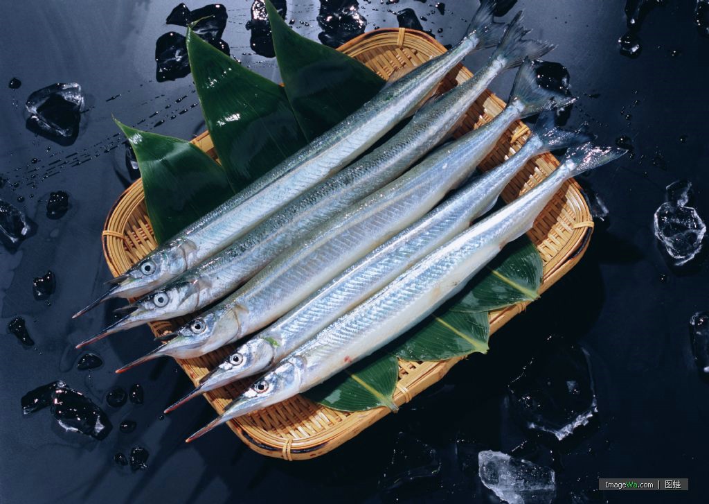  p>胡瓜鱼(学名: i>osmerus mordax&nbsp;(mitchill) /i>),为 a