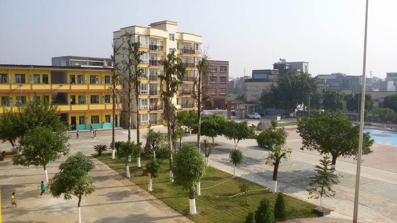  p>广西贵港市三里镇中心小学创建于1915年,是一所全日制完全小学