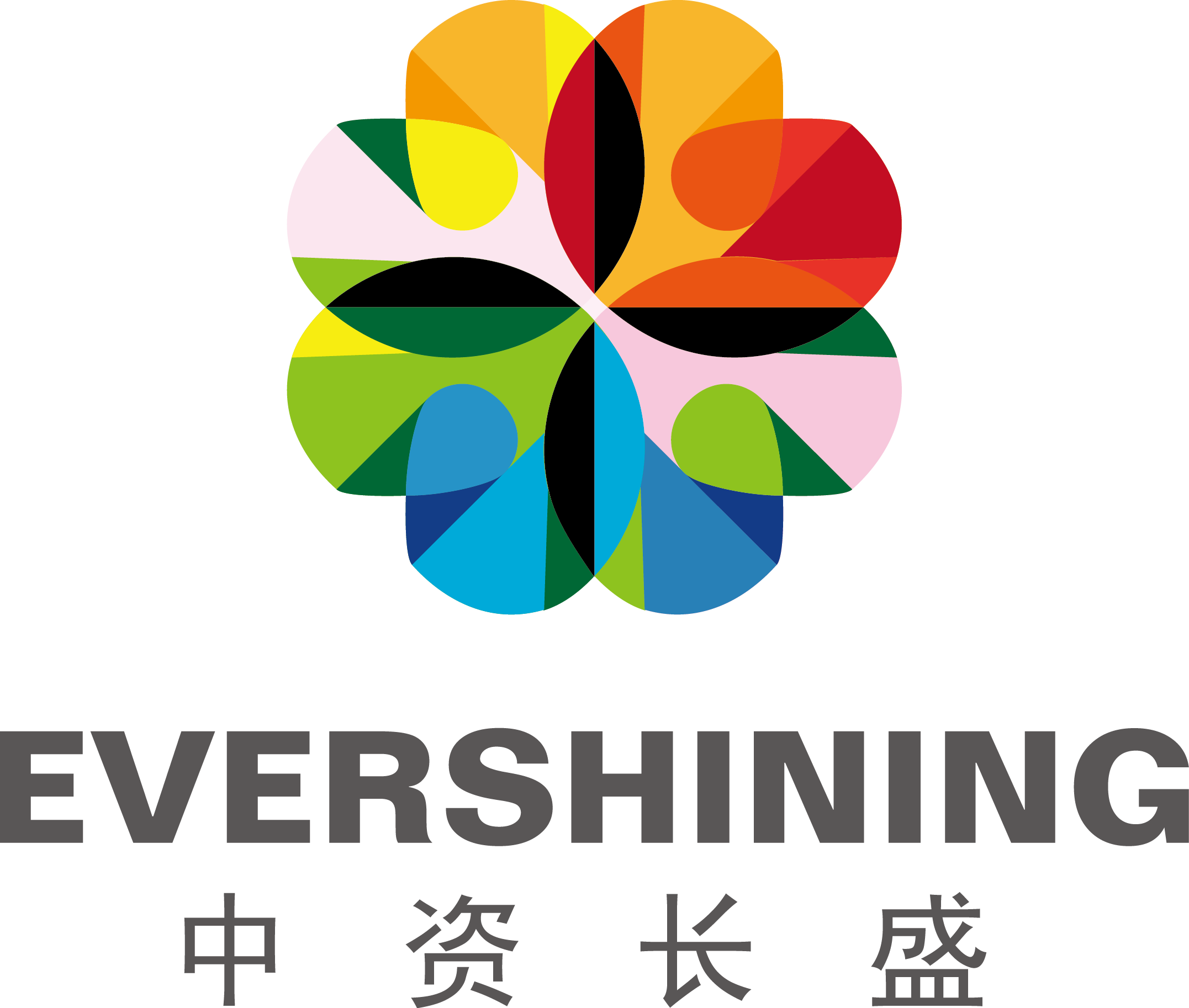 深圳市中资长盛健康产业发展有限公司