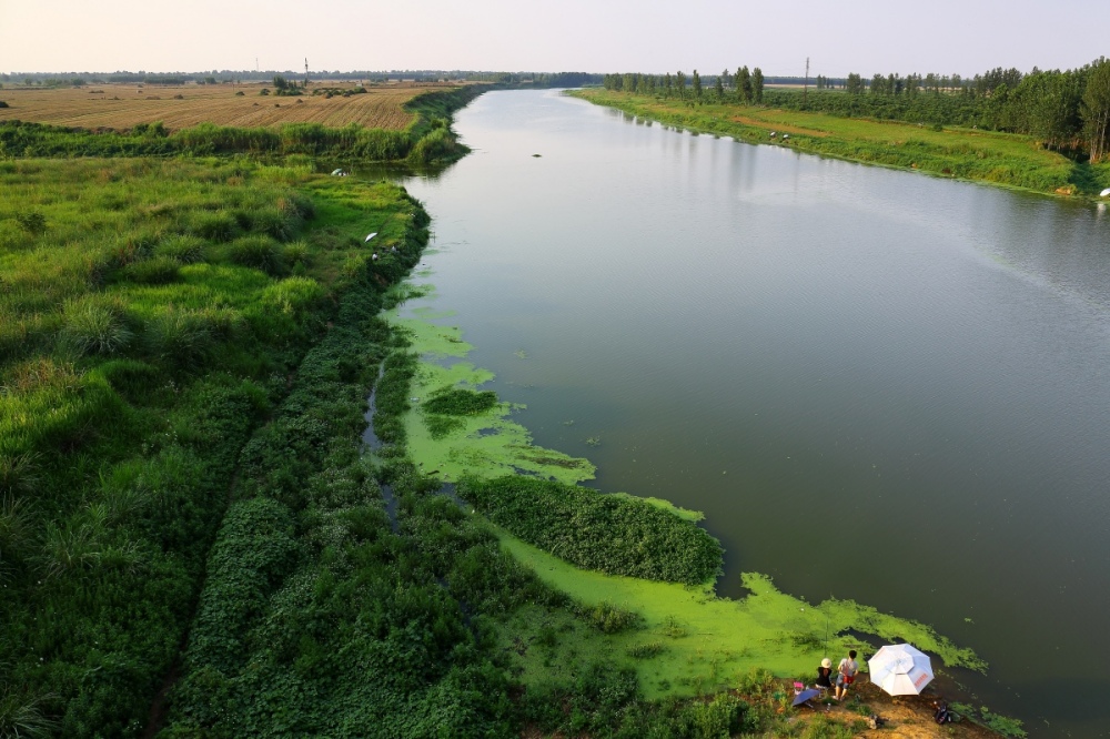 河南唐河国家湿地公园
