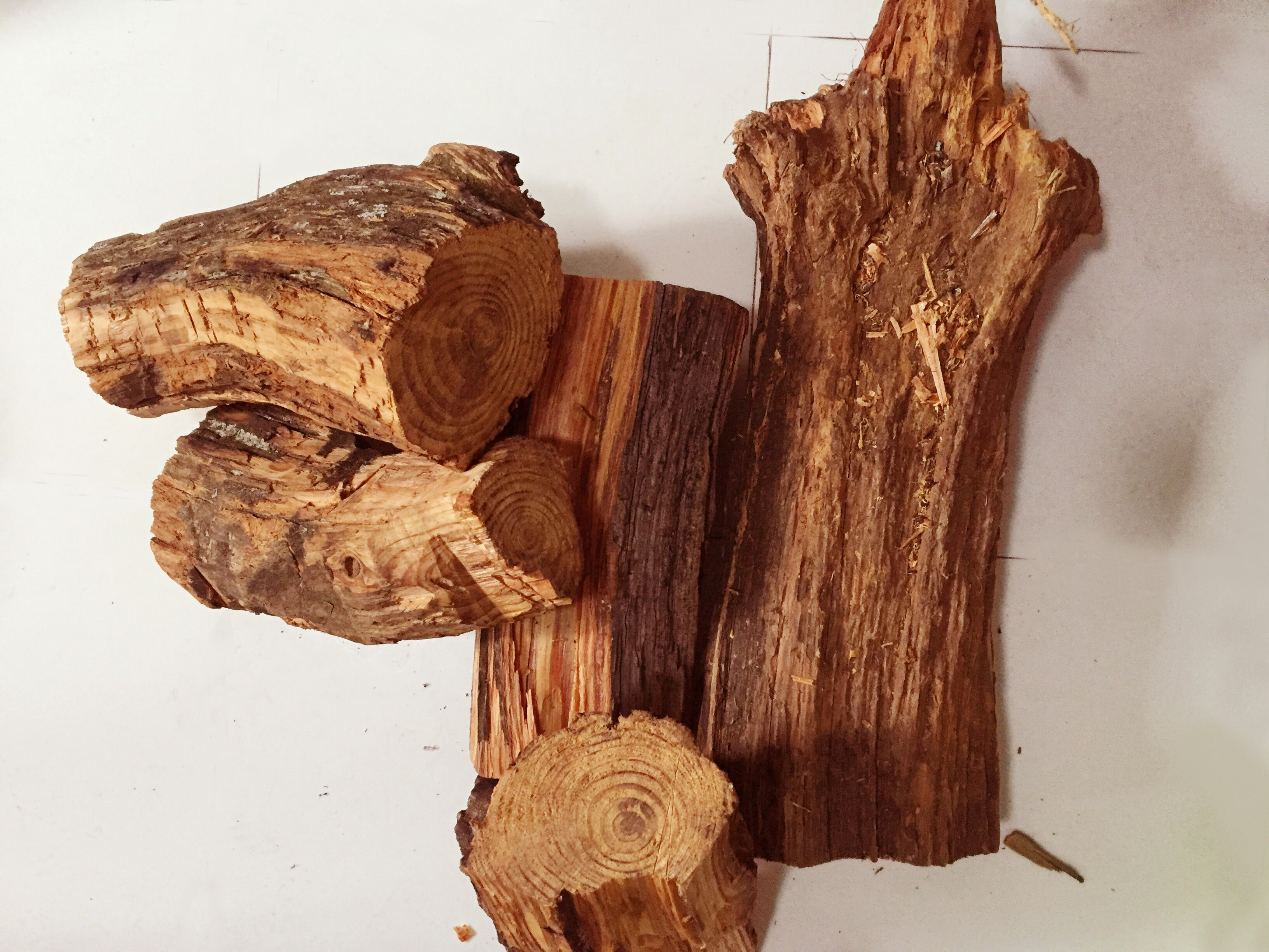  p>松明子就是松树枯死后老化腐蚀后,松树的油脂渗透于木质之中,经过