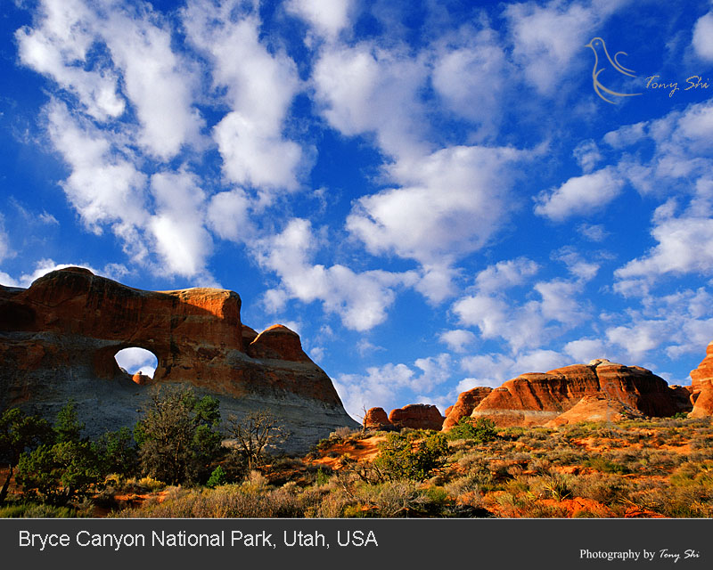 arches national park