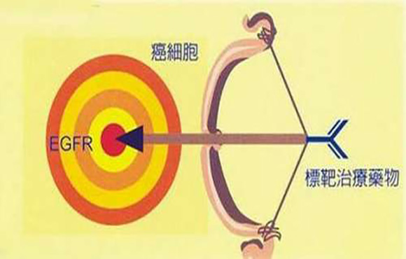 癌症的靶向治疗