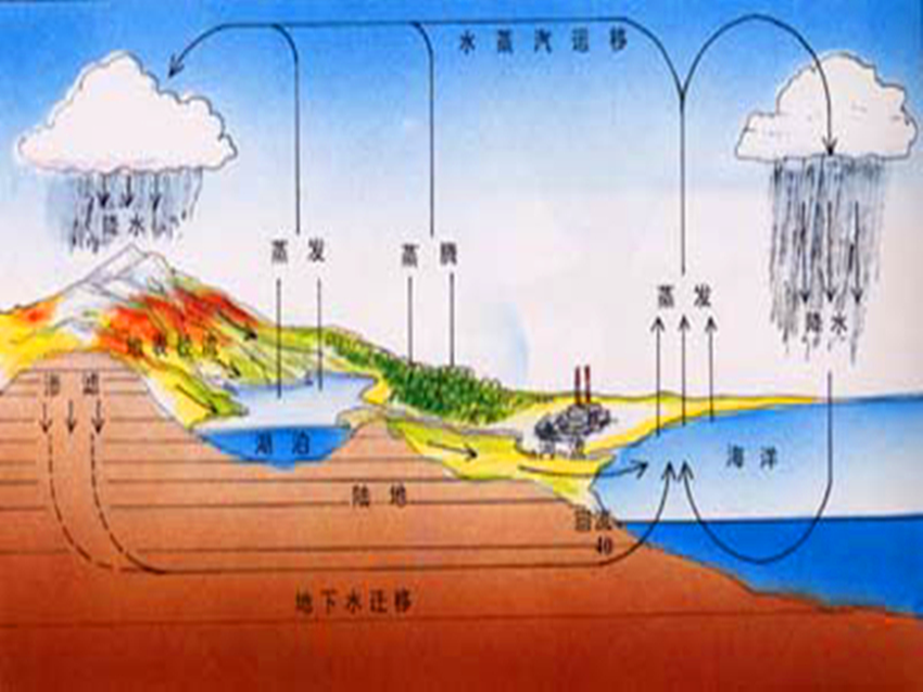  p>陆地生态系统(terrestrial ecosystem)  是指地球陆地表面由陆生