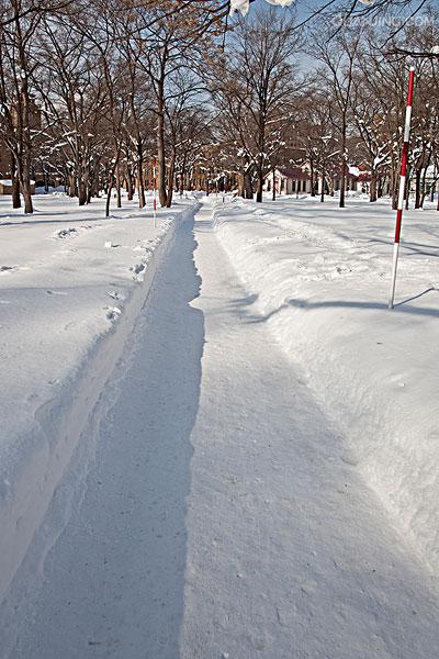 日本北海道大学