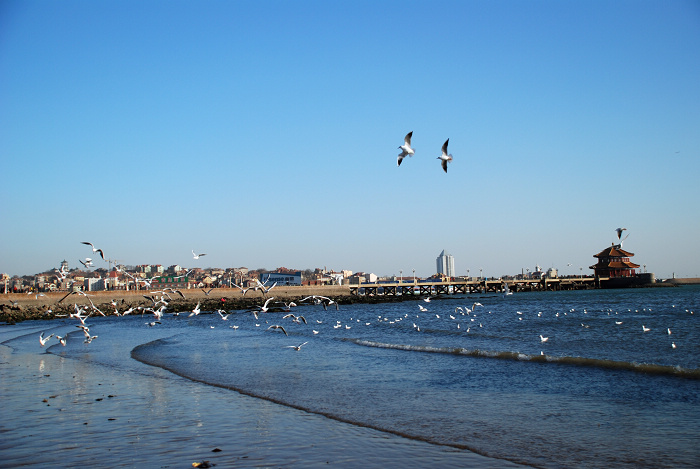  p>金沙滩海滨公园,位于烟台经济技术开发区的北部,西起柳林河,东至夹