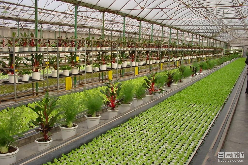 锦绣大地农业观光园