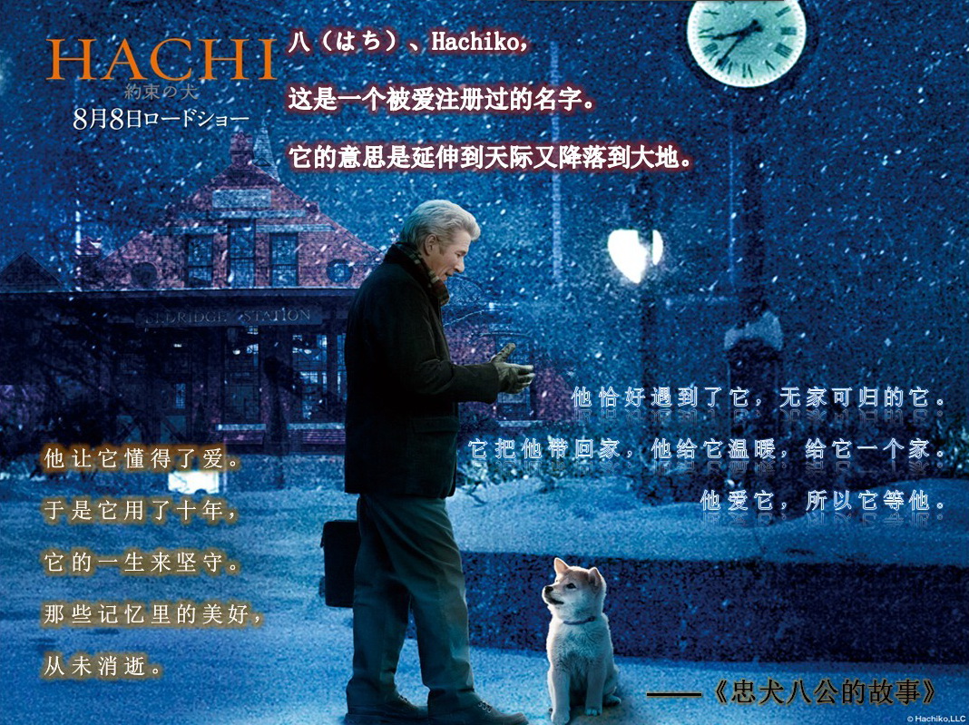 八公忠犬的故事