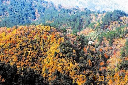 五岳山