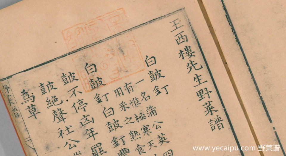  p data-id="gn90vky5yy">《野菜谱录》是明代鲍山撰写的一部书籍.