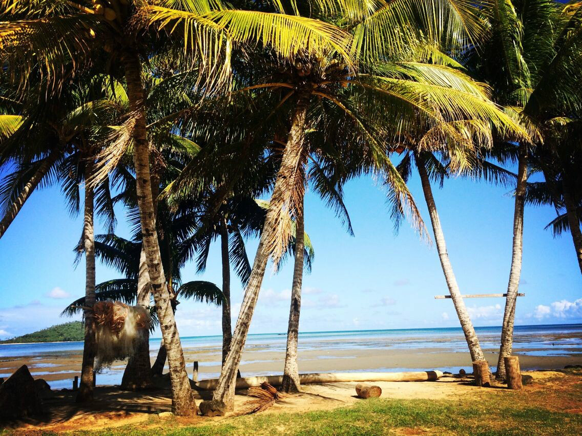  p>瓦利斯和 a href="#" data-lemmaid="10873982">富图纳群岛 /a>