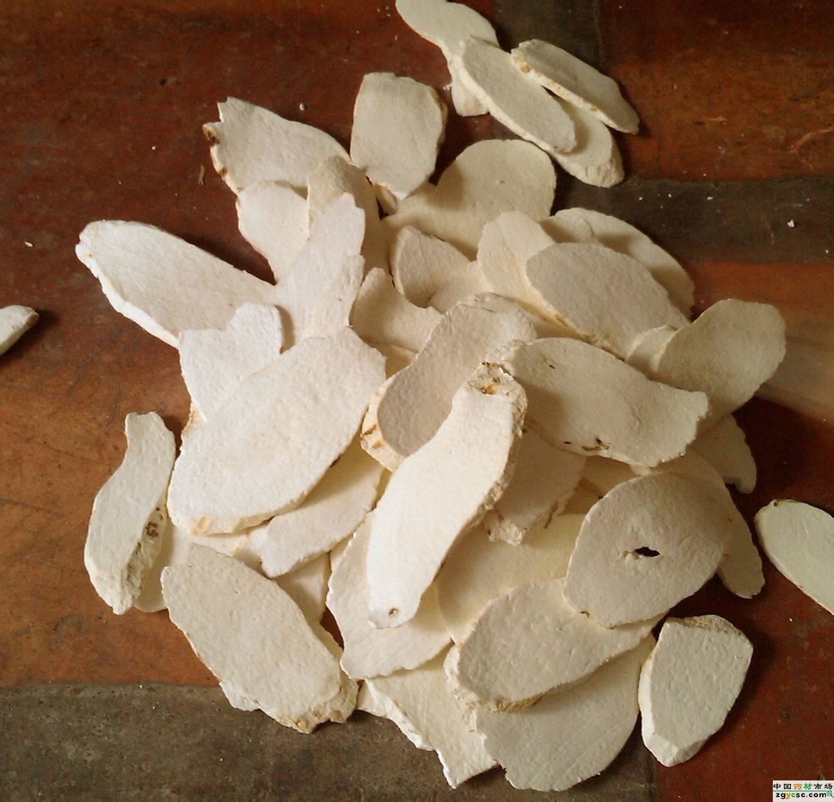 href="/item/植物/142914" data-lemmaid="142914">植物 /a>白根独活