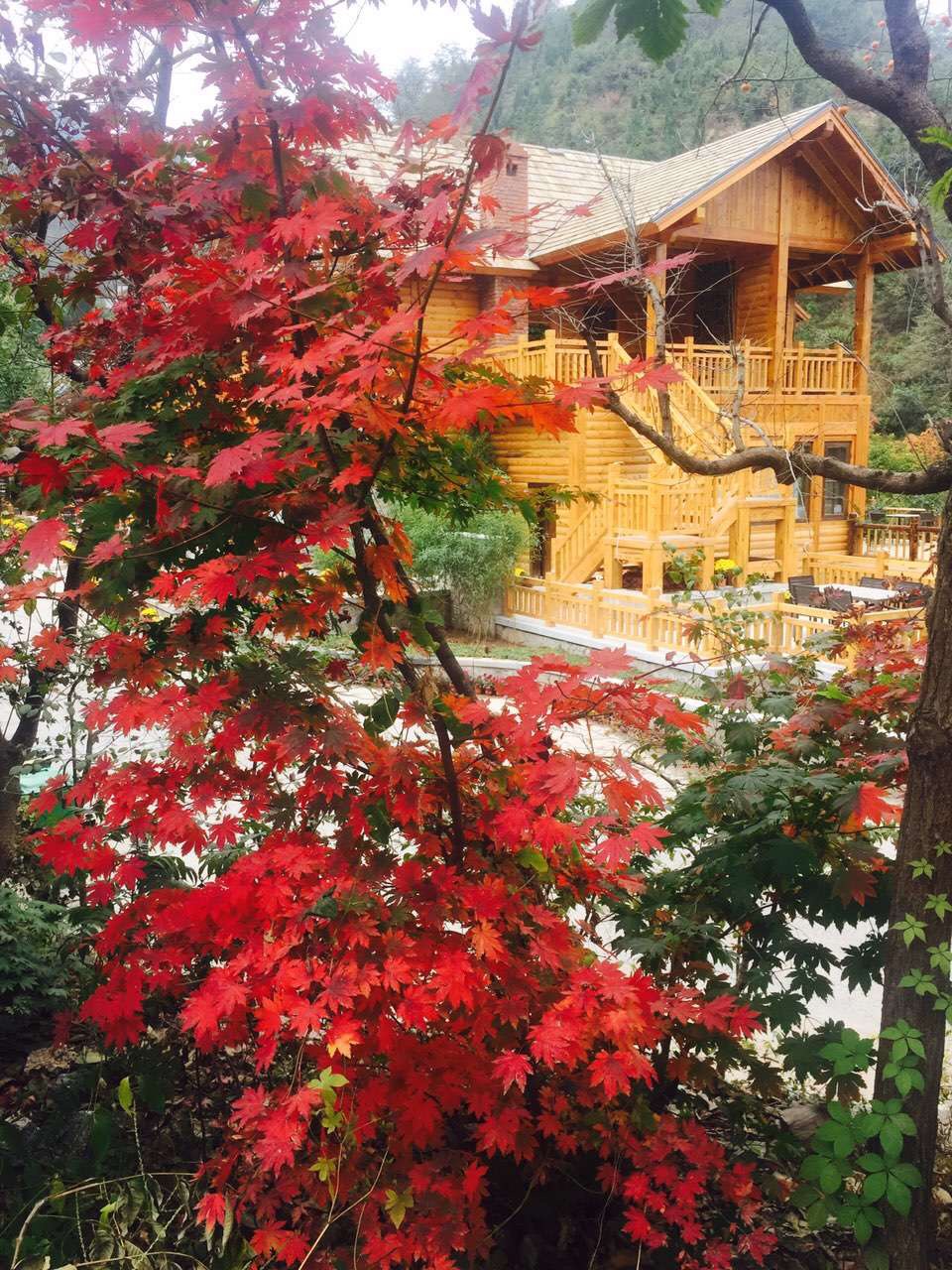济南九如山(济南九如山一日游攻略)