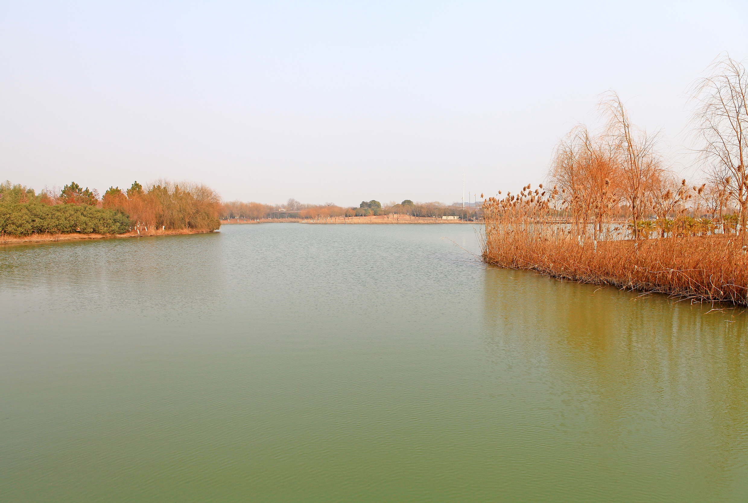 "#" data-lemmaid="5096789">盐城市 /a>,"平湖秋月"为古盐城八景之冠