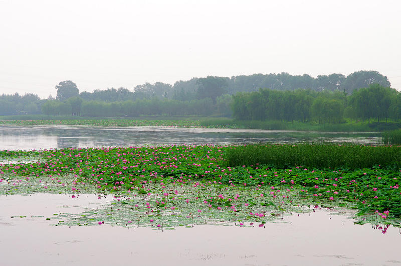 沈阳西湖
