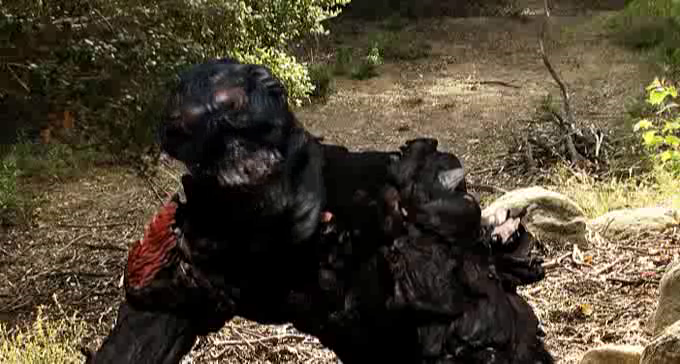  p>《异形大战阿凡达》是由lewis schoenbrun执导,kenny white,jason