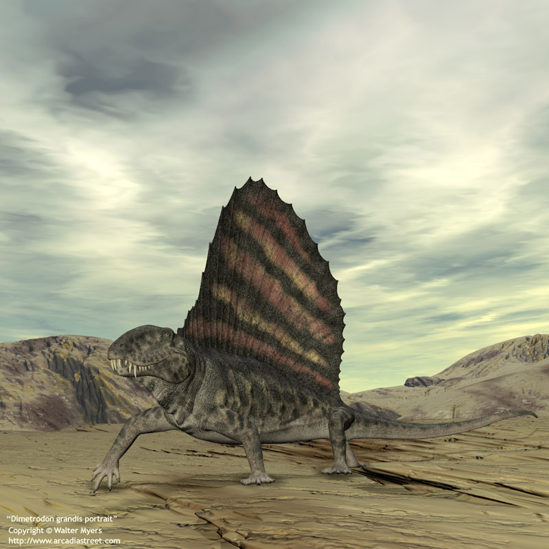  p data-id="gnwrfchwzl">冠龙(学名:corythosaurus),又名盔龙,鸡冠龙