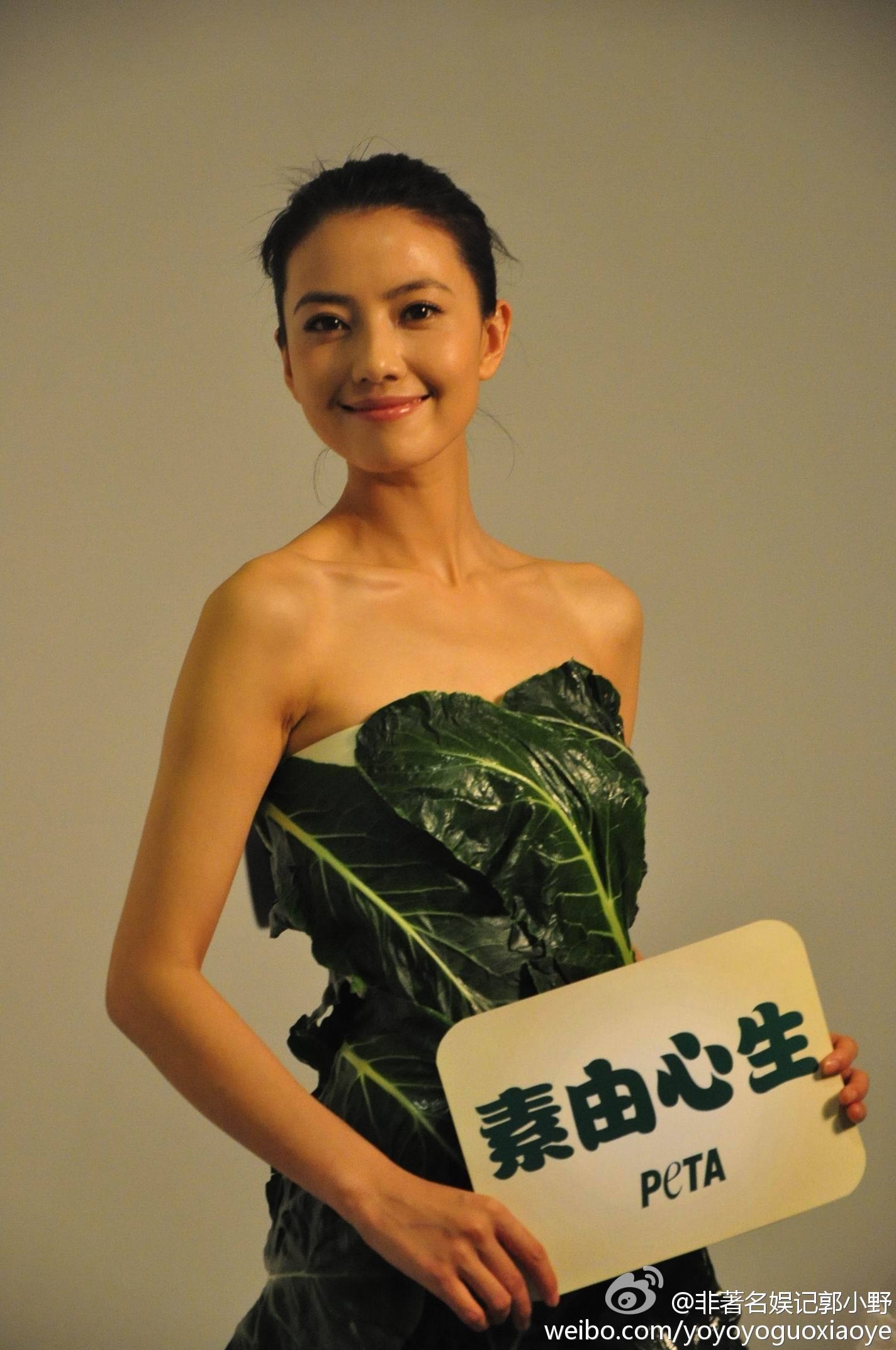 高圆圆