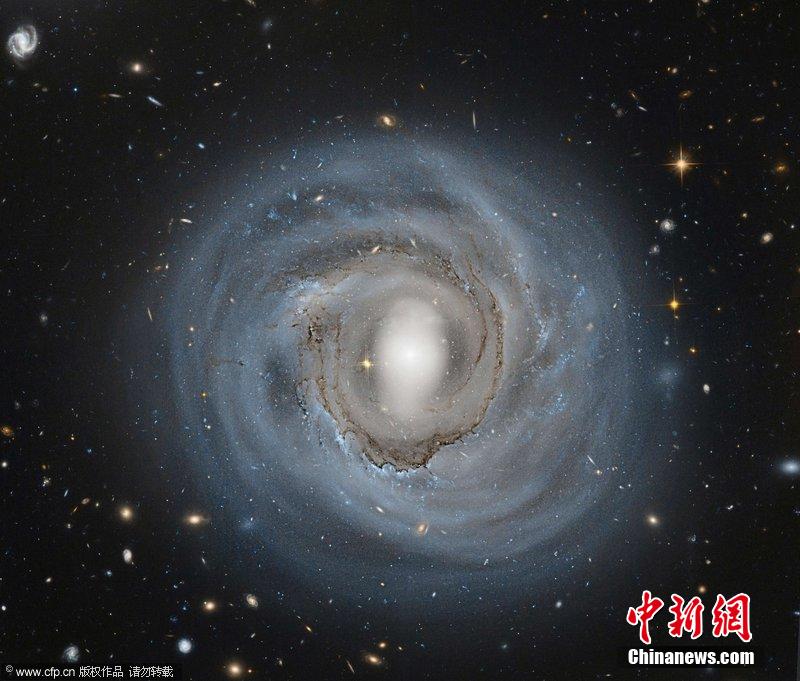 cepheid variable star