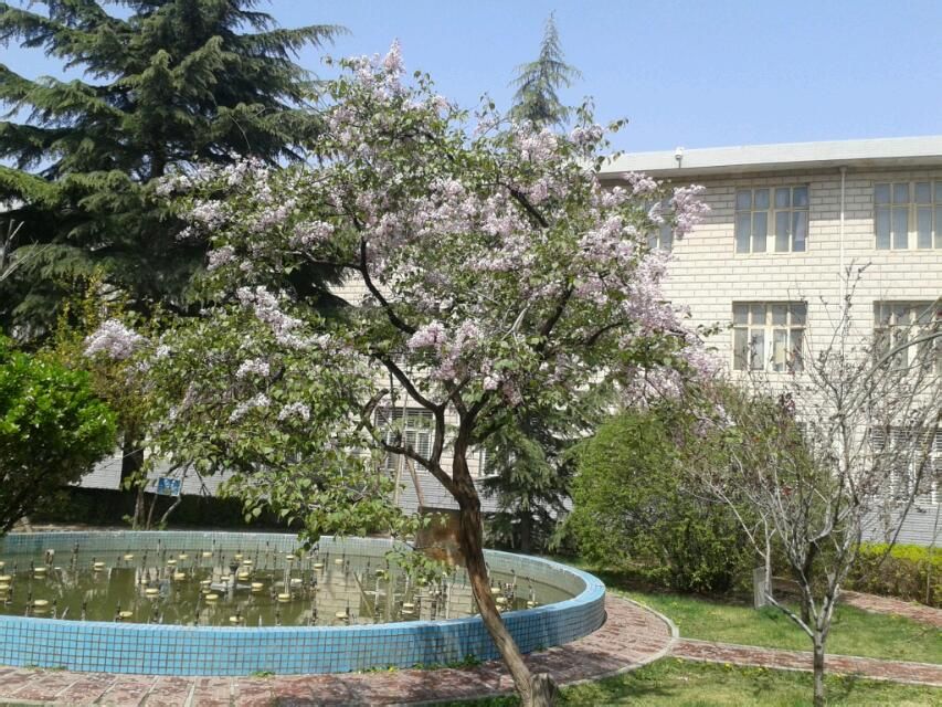 兰州市第九中学