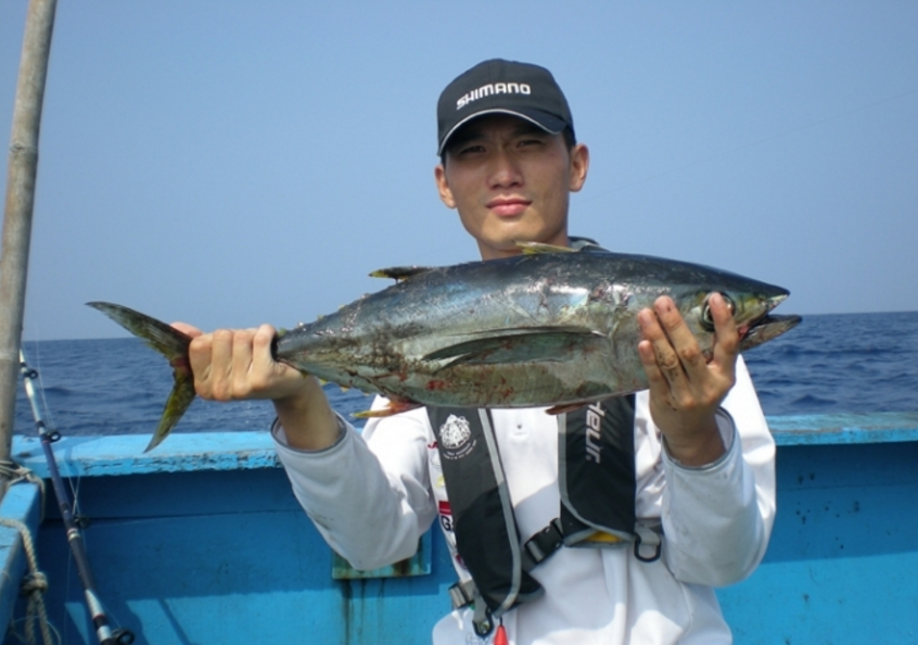  p>蓝鳍吞拿鱼(bluefin tuna)即 a href="#" data-lemmaid="2161792">