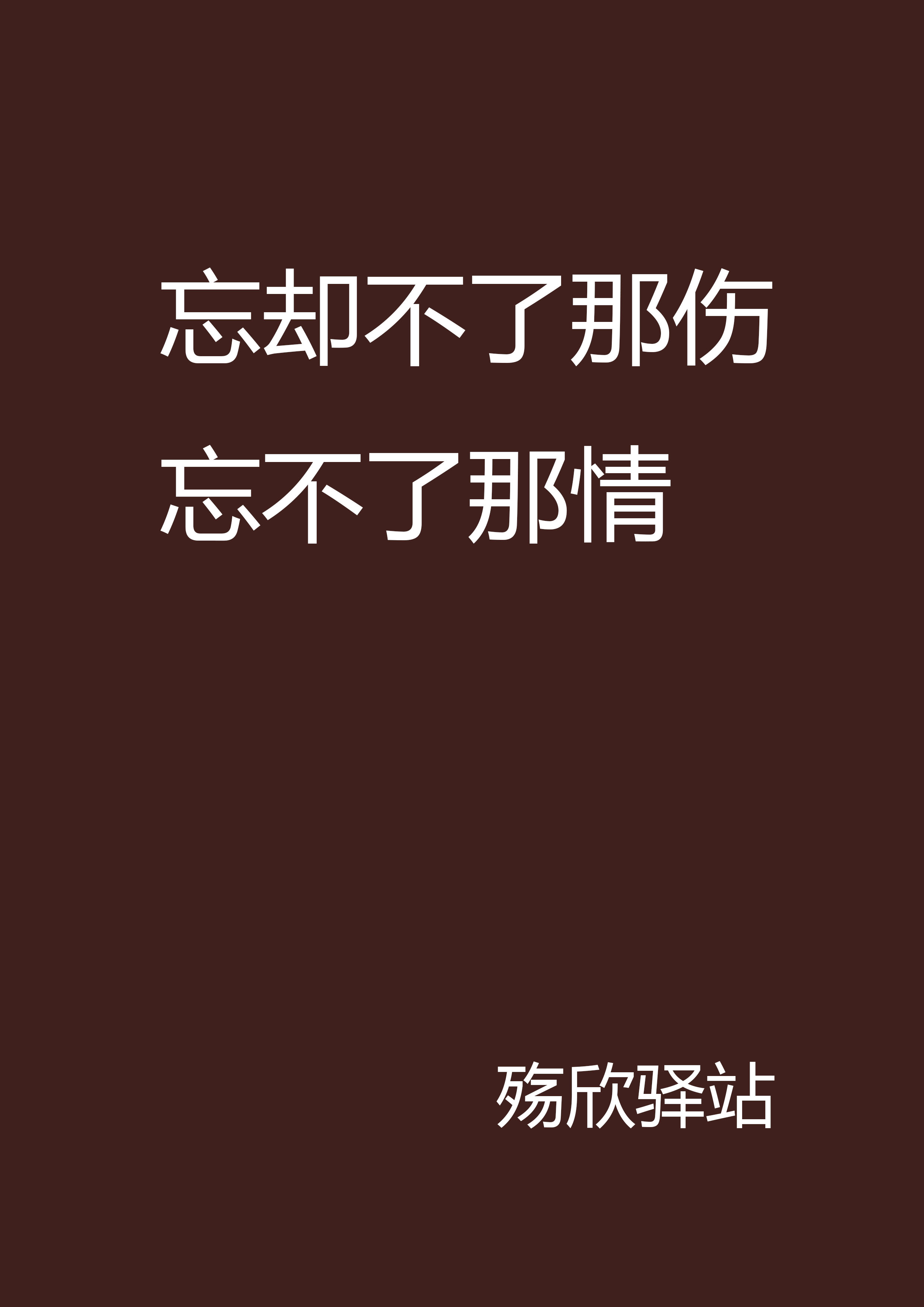 忘却不了那伤忘不了那情