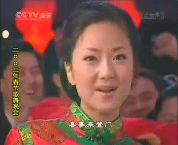 《2002年中央电视台春节歌舞晚会》是2002年吴楠,赵刚等人执导的央视