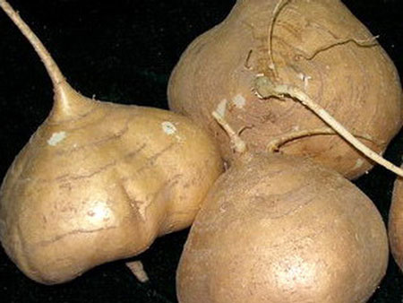 gntu6tbifl">开平市, a target="_blank" href="/item/广东省/132473"