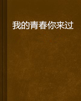 我的青春你来过