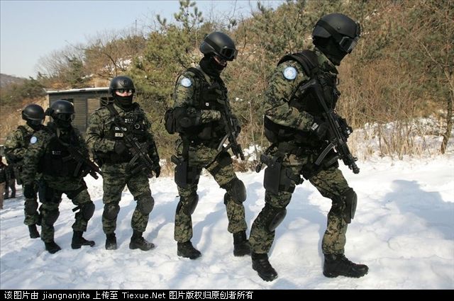  p data-id="gnxapzc0qm">707特种部队是韩国陆军特种作战司令部的 a