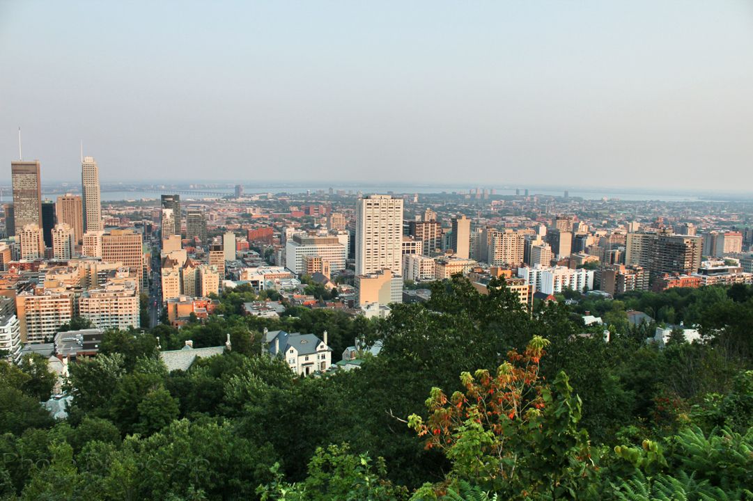 royal /i>,法语: i>mont royal /i>)是加拿大蒙特利尔的一座山丘,位于