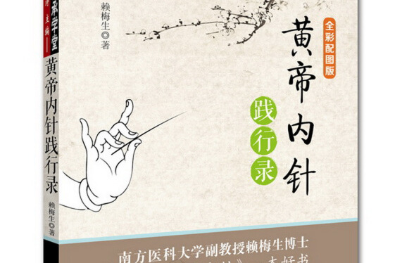 黄帝内针践行录