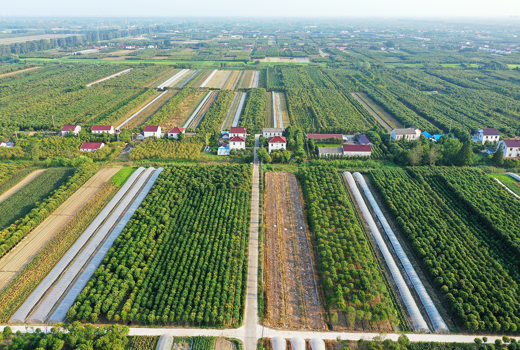  p data-id="gnvjl9kl6u">三仓镇,隶属于江苏省盐城市东台市,地处 a