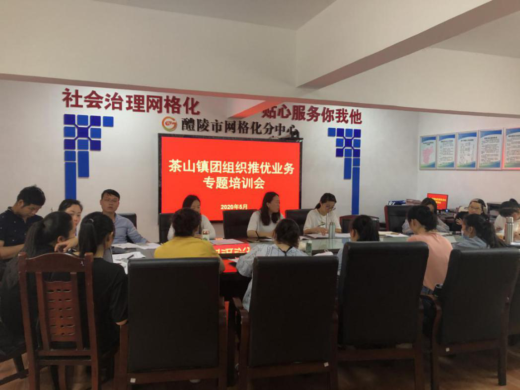 茶山镇网站优化 全网资源