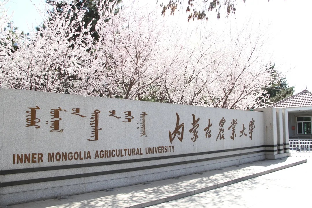 大学(inner mongoliaagricultural university,imau),简称"内农大"