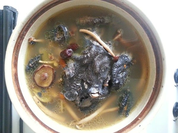  p>蘑菇炖乌鸡是以乌鸡肉,蘑菇,油,葱花主料制作的药膳. /p>