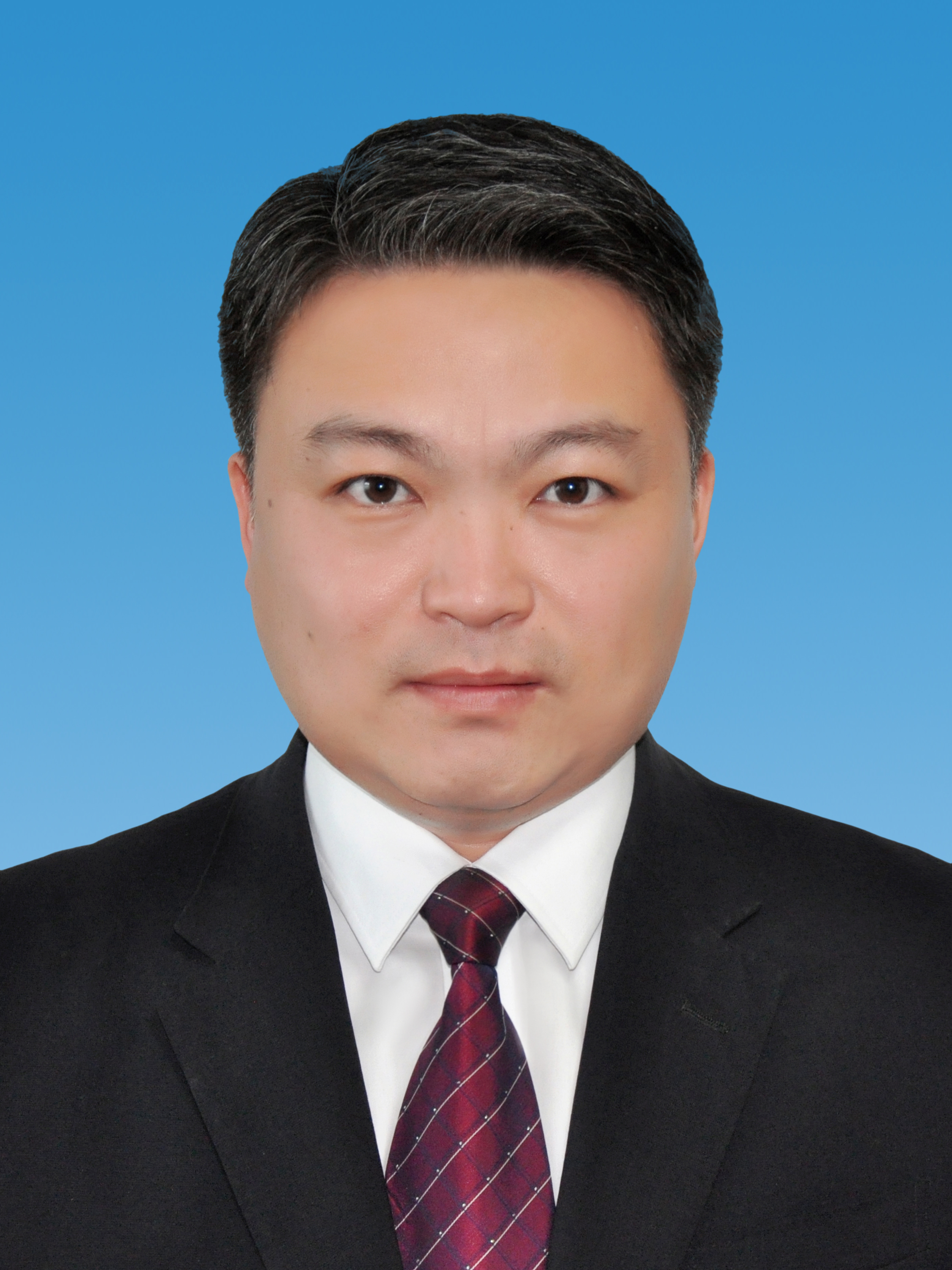 anfejitwz">何文,男,汉族,中国国籍,中共党员,1981年8月生,湖北荆门人