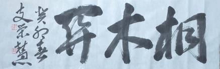 桐木关_百度百科
