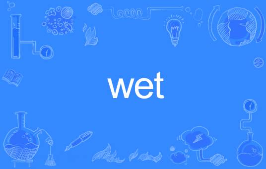 Wet（英文单词）_百度百科