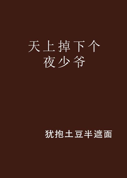 天上掉下个夜少爷_百度百科