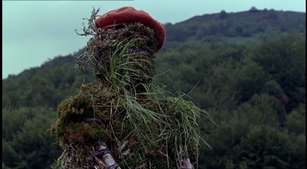 牛的见证vacas(1992)