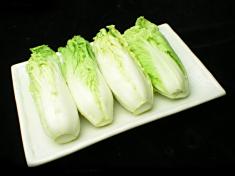 娃娃菜